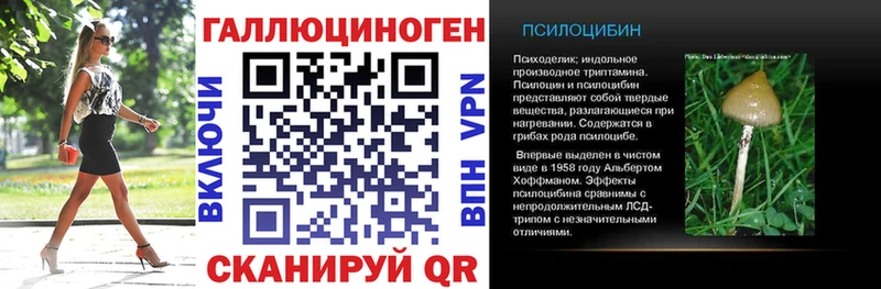 Псилоцибиновые грибы Cubensis  продажа наркотиков  Йошкар-Ола 